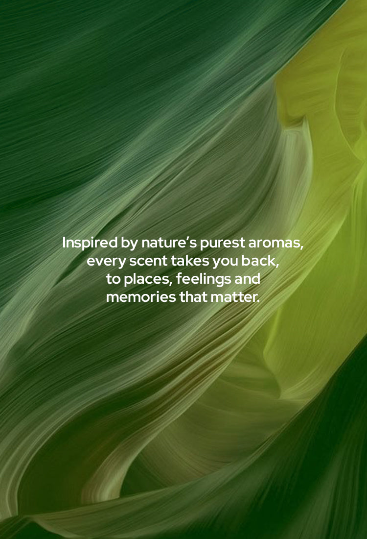 about-banner.jpg