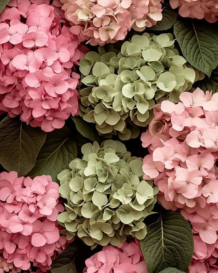 Flora Alchemy