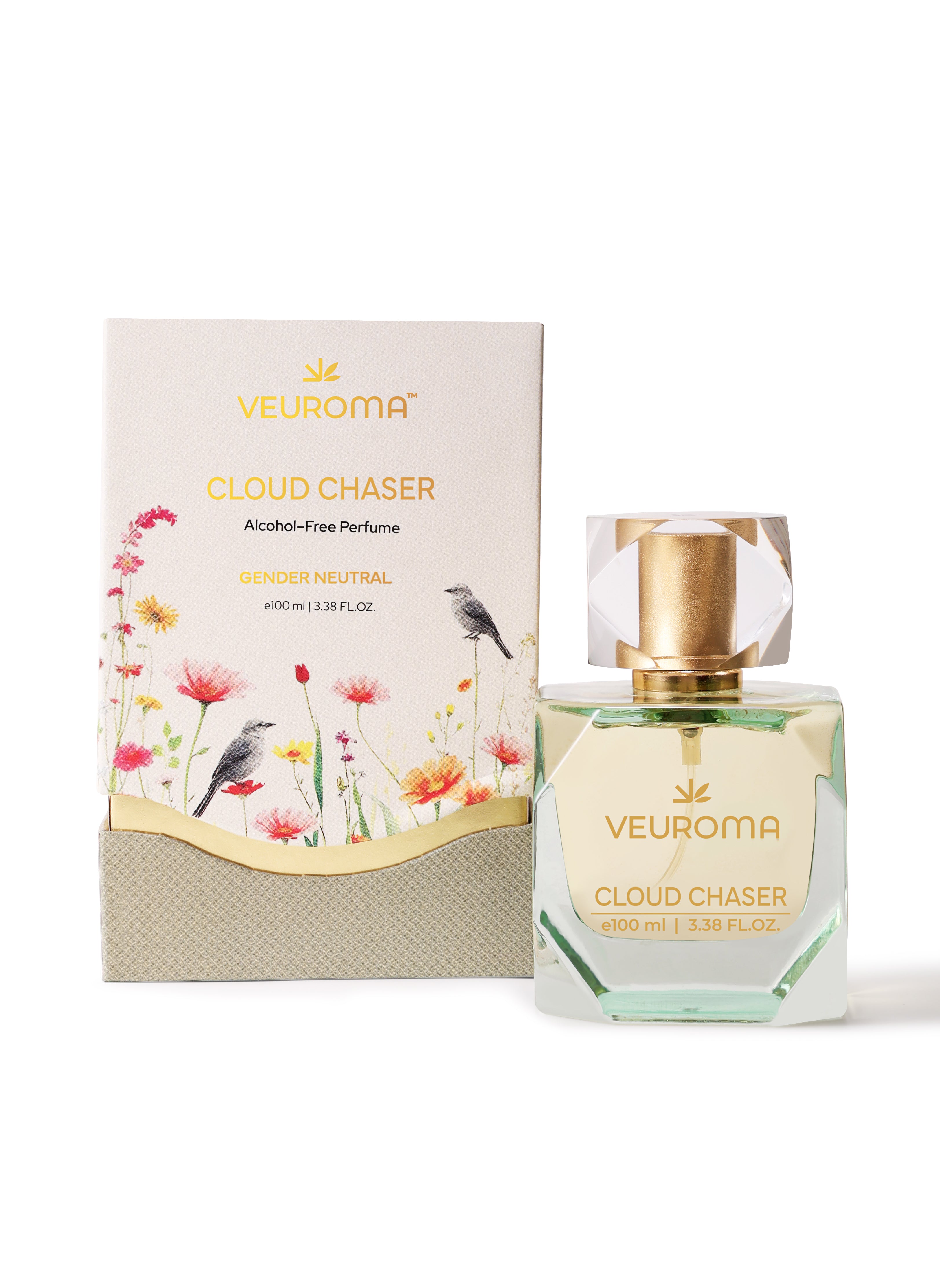 Cloud Chaser