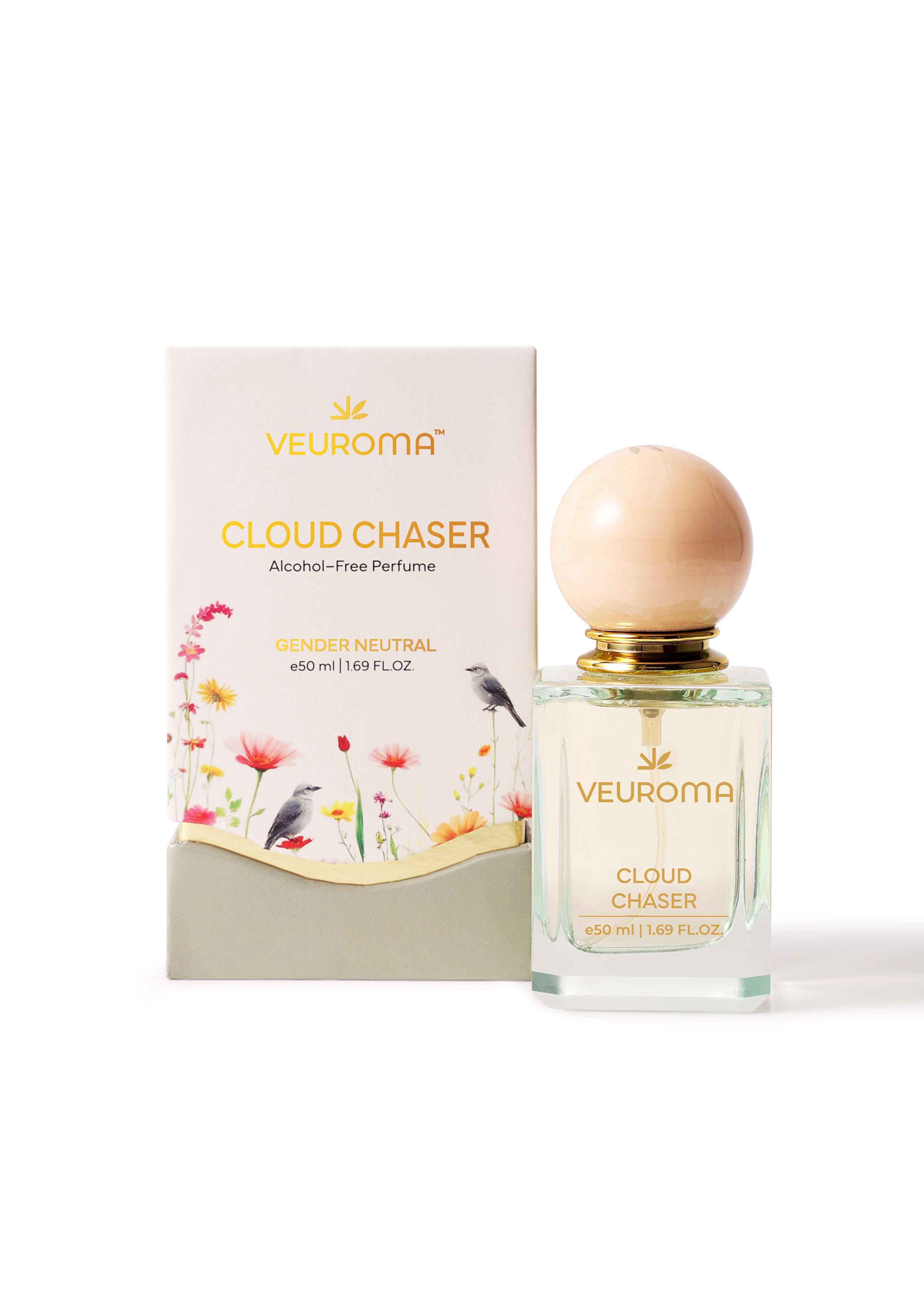 Cloud Chaser