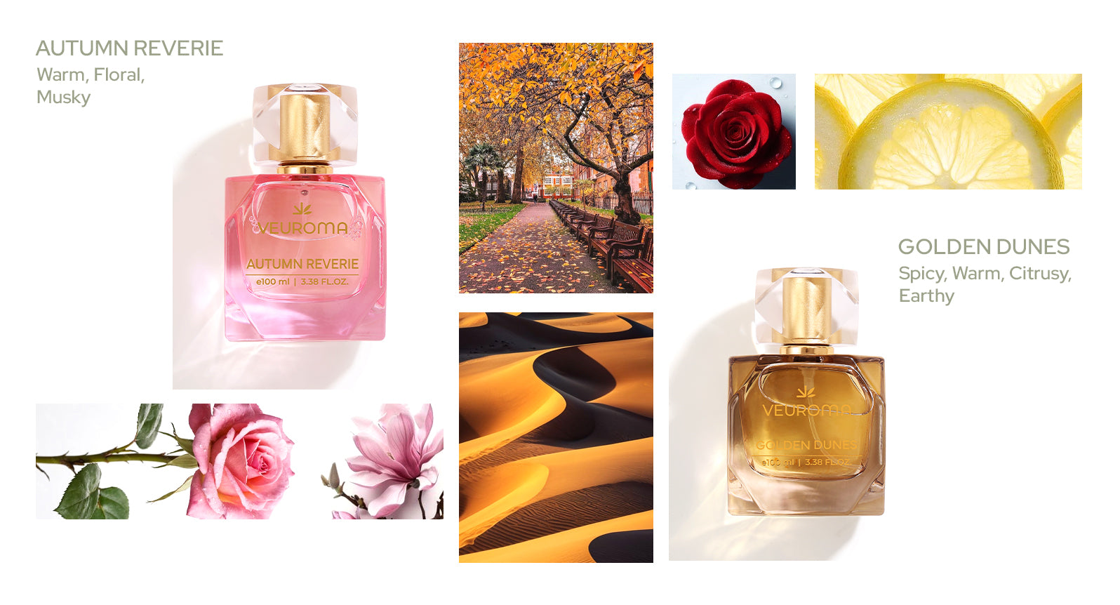 Autumn_Reverie_x_Golden_Dunes.jpg