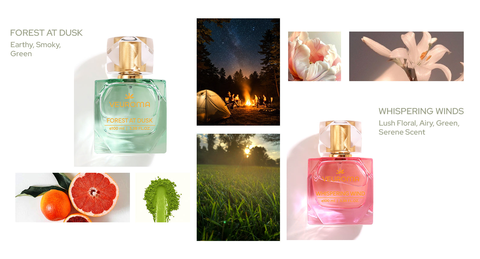 Forest_at_Dusk_x_Whispering_Wind.jpg
