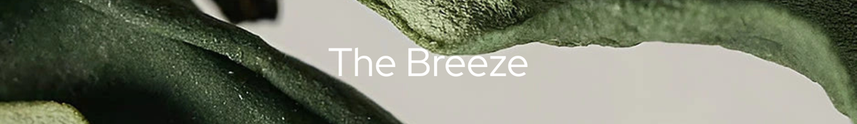 The_Breeze-D.png