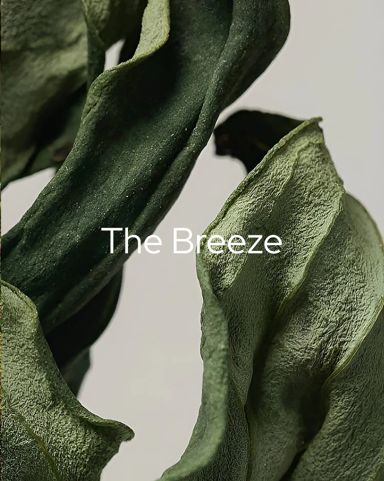 The_Breeze-m.png