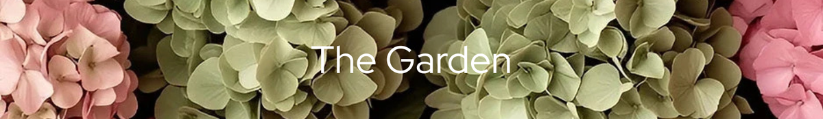 The_Garden-D.png