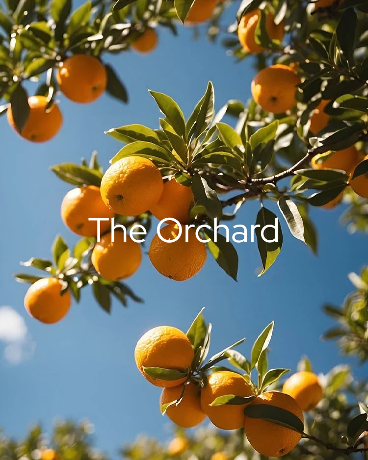 The_Orchard-m.png