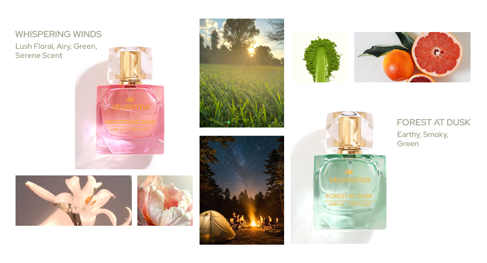 Whispering_Wind_x_Forest_at_Dusk.jpg