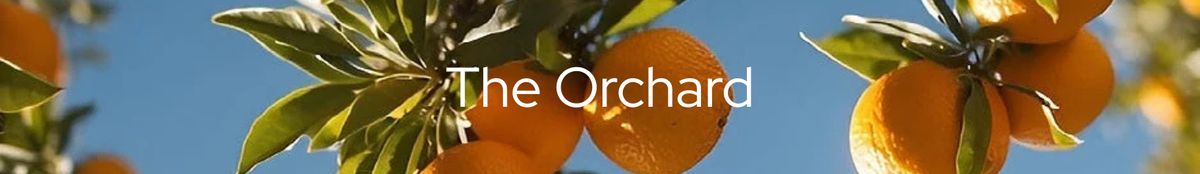 the-orchard-D.png